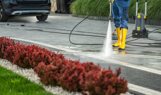 Best Driveway Pressure Washing  in Boulder Creek, CA